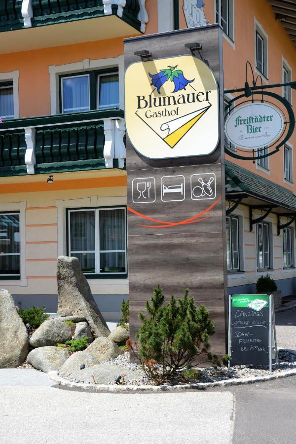 Hotel Blumauer Райнбах-им-Мюлькрайс Экстерьер фото